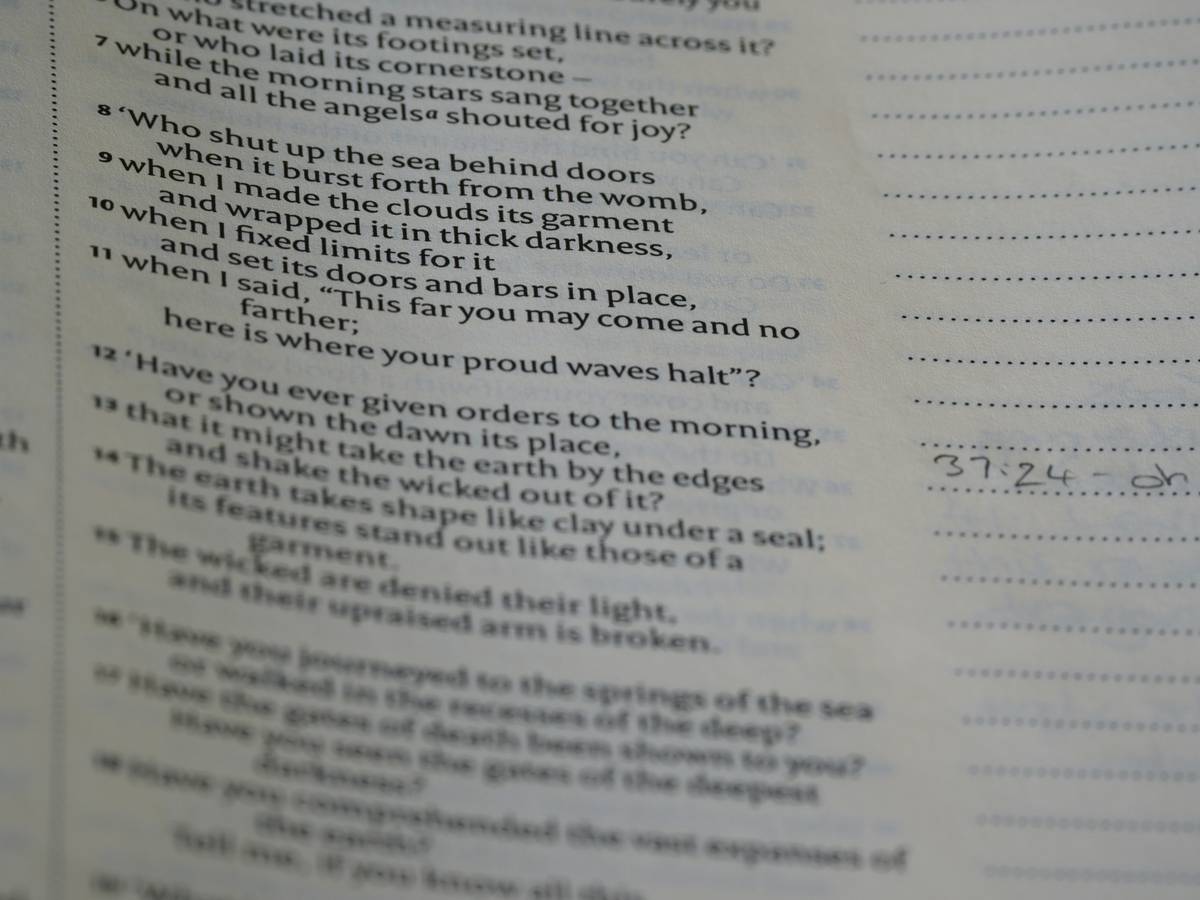 Success story chart showing Maria's earnings before and after completing her tax education certificate.